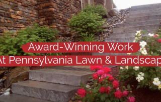 Read more about the article Summer Lawn and Landscaping Maintenance