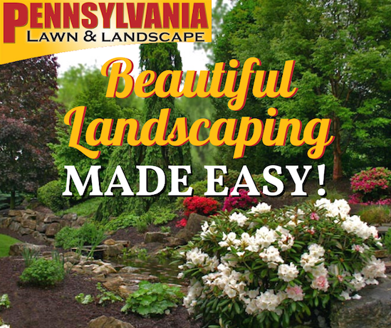 Read more about the article Beautiful Landscaping Made Easy!