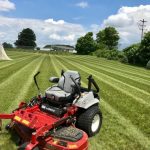 3 Reasons Lawn Care is an Essential Task to Keep Up With