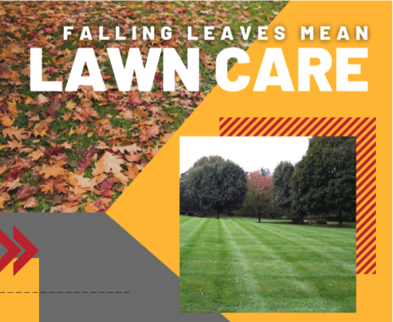 You are currently viewing Falling Leaves Mean Lawn Care!