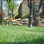 Professional Lawn Maintenance vs. DIY: What’s Best for Your Property?