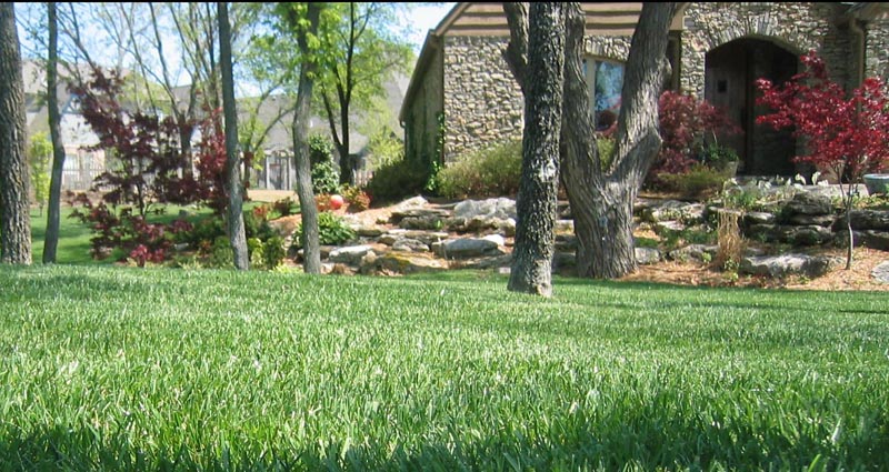 You are currently viewing Professional Residential and Commercial Landscaping Services