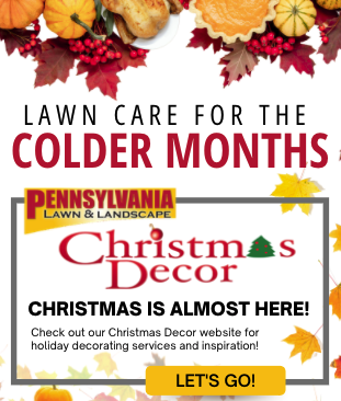Read more about the article Lawn Care For The Colder Months