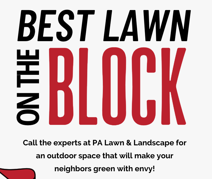 You are currently viewing Best Lawn on the Block!