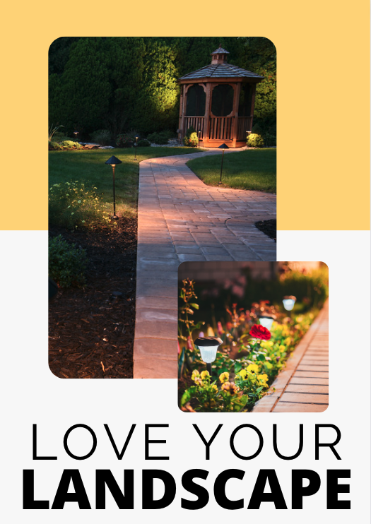 Read more about the article Love Your Landscape