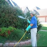 Seasonal Maintenance: Preparing for Summer Storms
