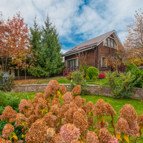 You are currently viewing These 3 Amazing Fall Services Will Have Your Yard Ready for Autumn