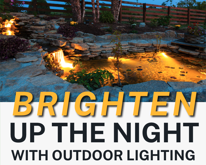 Read more about the article Brighten Up the Night!