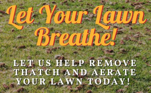 You are currently viewing Let Your Lawn Breathe! 🌱
